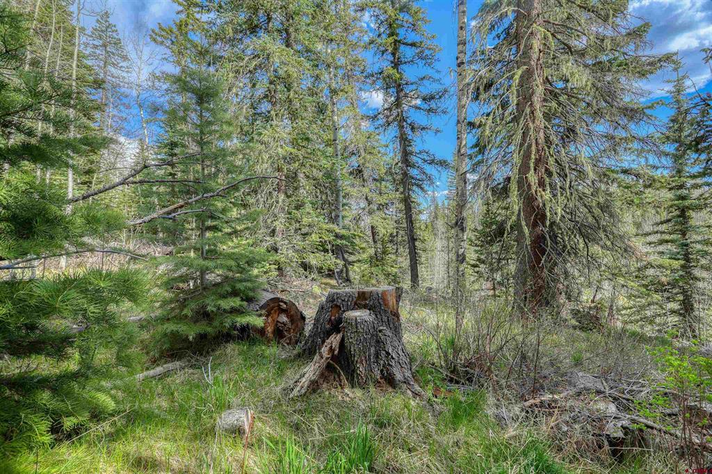 122 Meadowbrook Place Pagosa Springs CO 81147