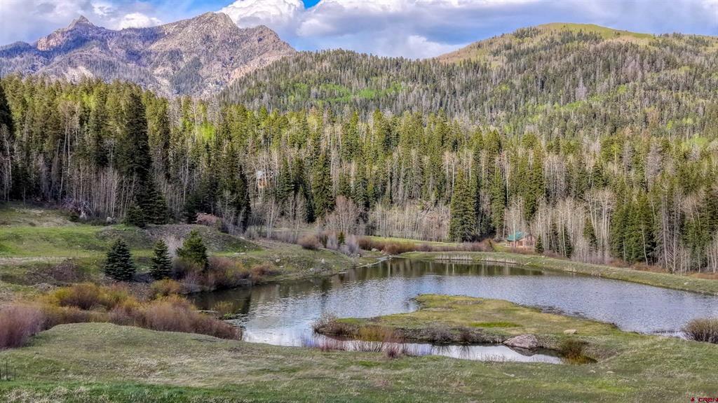122 Meadowbrook Place Pagosa Springs CO 81147