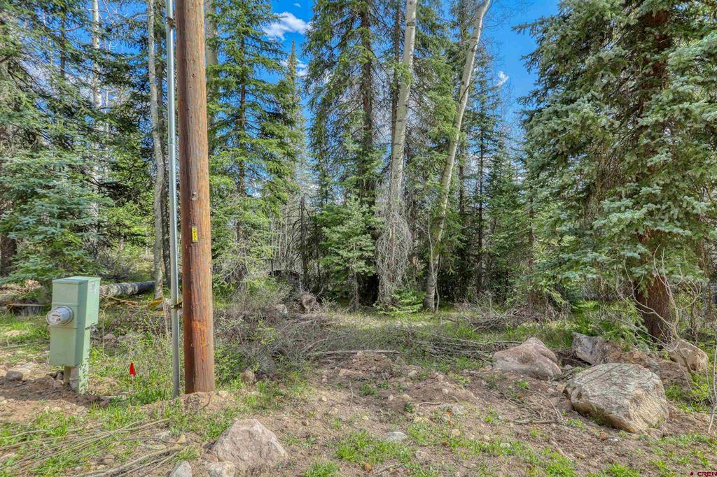 122 Meadowbrook Place Pagosa Springs CO 81147