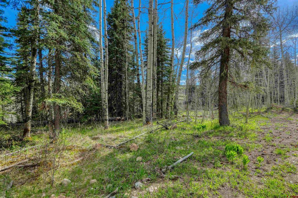 122 Meadowbrook Place Pagosa Springs CO 81147