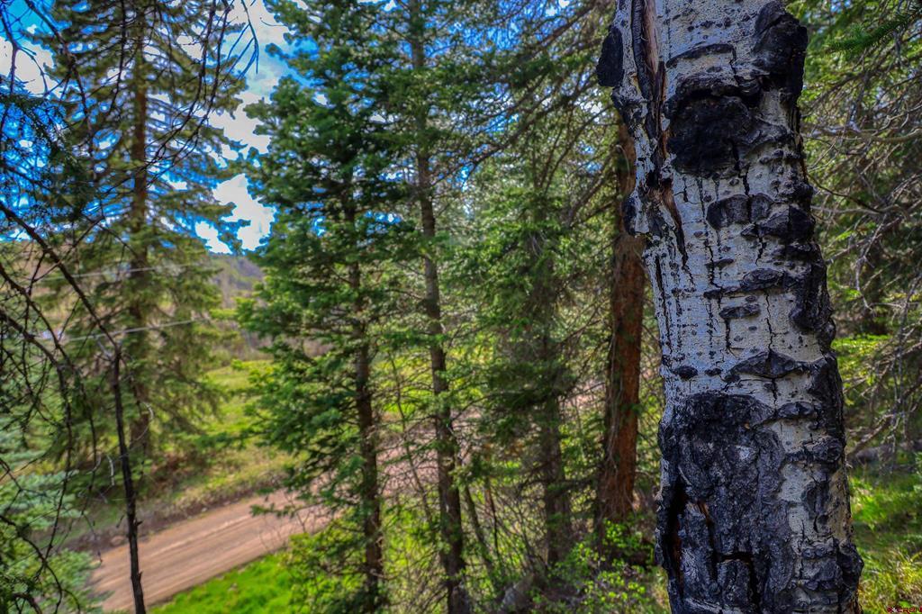 122 Meadowbrook Place Pagosa Springs CO 81147
