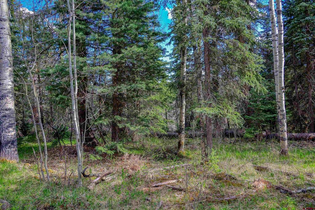 122 Meadowbrook Place Pagosa Springs CO 81147