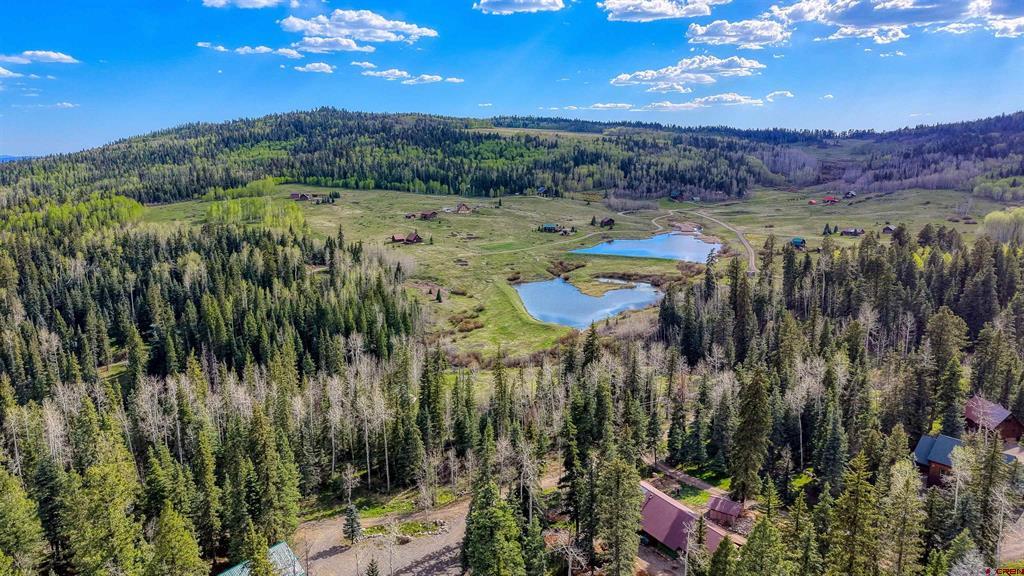 122 Meadowbrook Place Pagosa Springs CO 81147