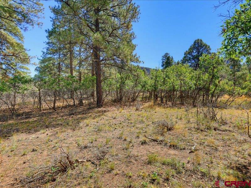 876 Evergreen Drive Pagosa Springs CO 81147