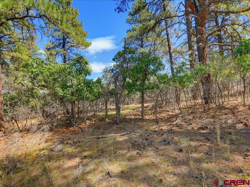 876 Evergreen Drive Pagosa Springs CO 81147