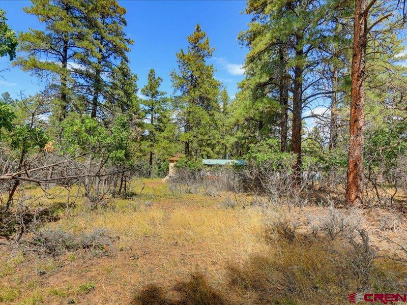 876 Evergreen Drive Pagosa Springs CO 81147