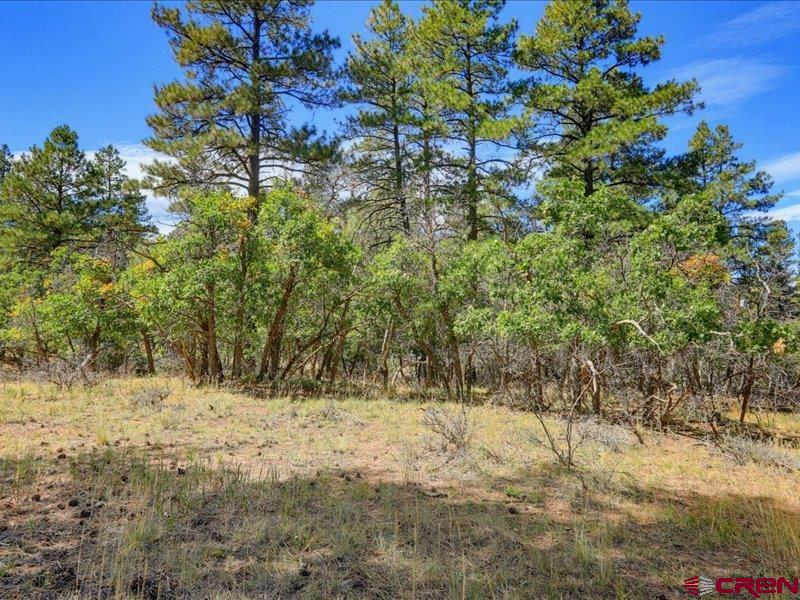 876 Evergreen Drive Pagosa Springs CO 81147