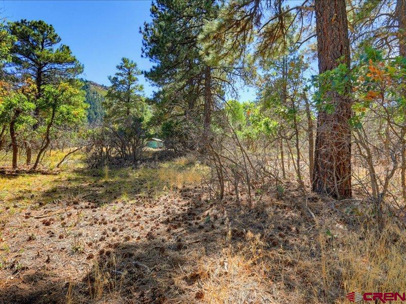 876 Evergreen Drive Pagosa Springs CO 81147