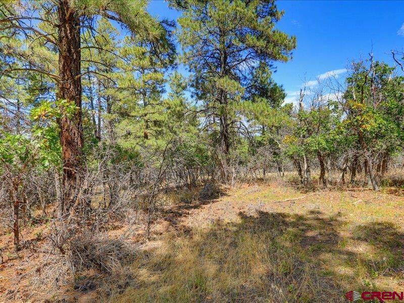 876 Evergreen Drive Pagosa Springs CO 81147