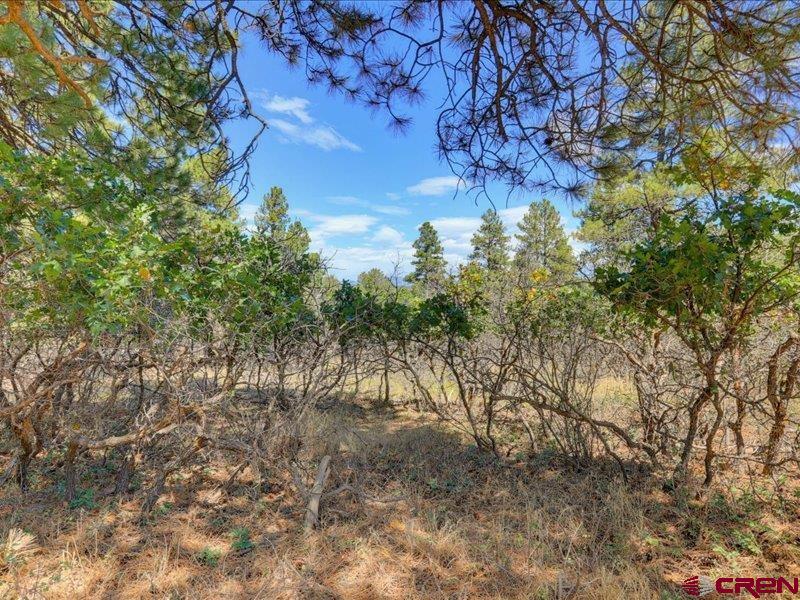 876 Evergreen Drive Pagosa Springs CO 81147