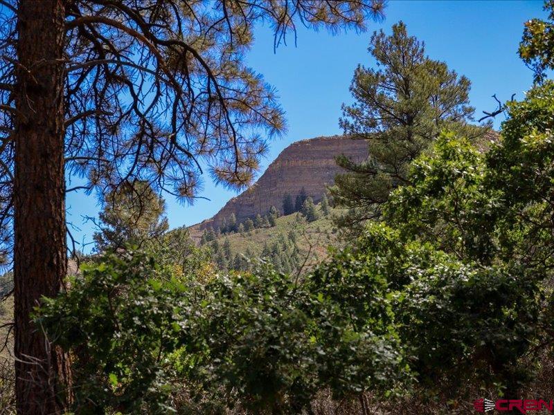 876 Evergreen Drive Pagosa Springs CO 81147