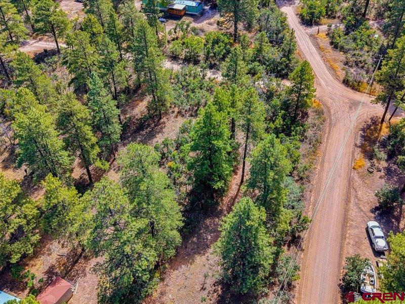 876 Evergreen Drive Pagosa Springs CO 81147