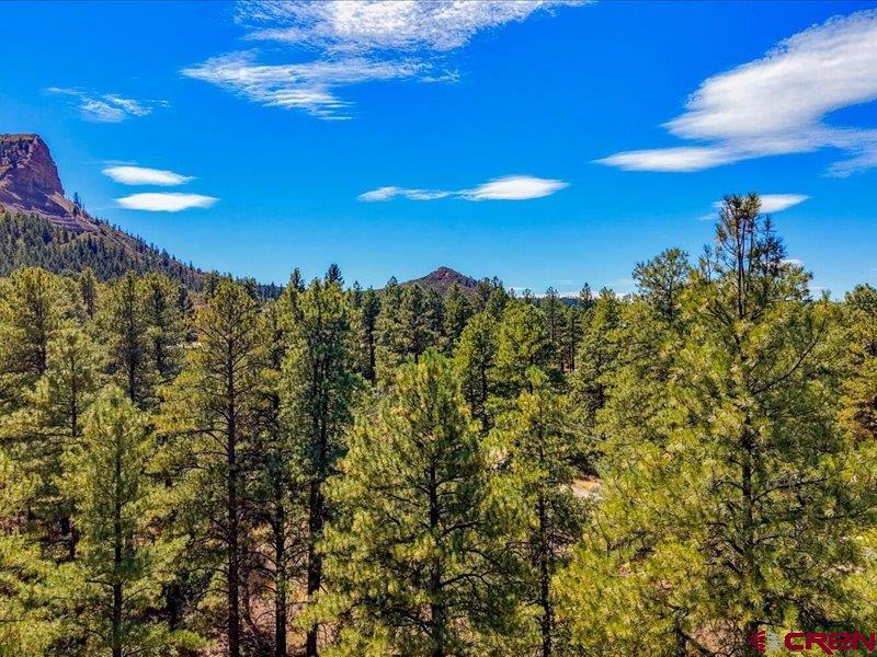 876 Evergreen Drive Pagosa Springs CO 81147