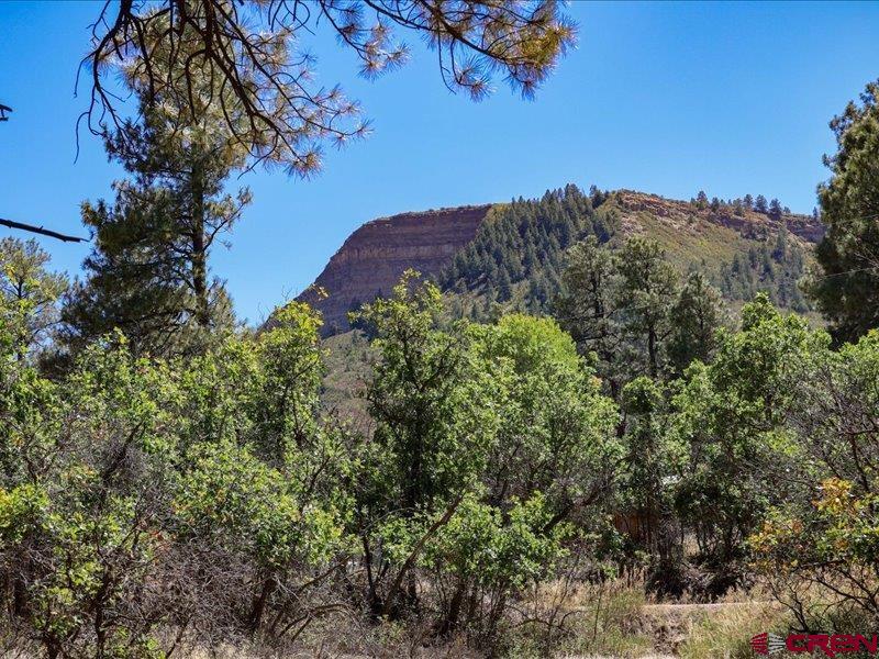 876 Evergreen Drive Pagosa Springs CO 81147