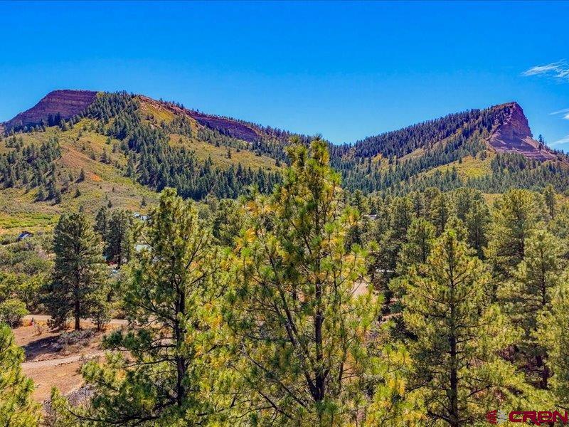 876 Evergreen Drive Pagosa Springs CO 81147