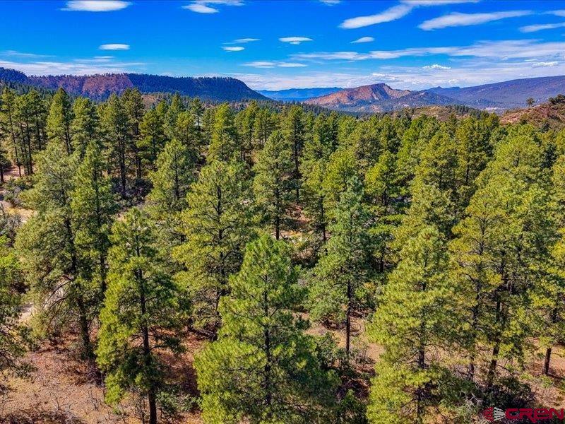 876 Evergreen Drive Pagosa Springs CO 81147