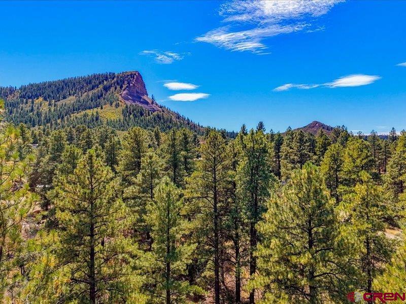 876 Evergreen Drive Pagosa Springs CO 81147