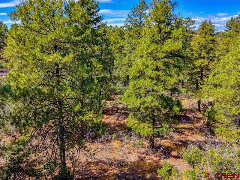876 Evergreen Drive Pagosa Springs CO 81147