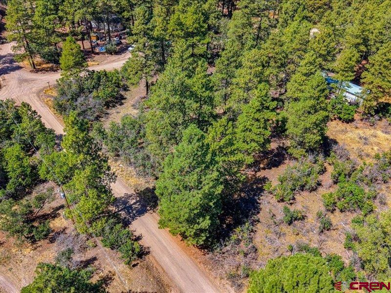 876 Evergreen Drive Pagosa Springs CO 81147