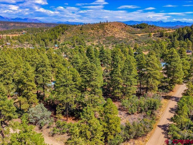 876 Evergreen Drive Pagosa Springs CO 81147