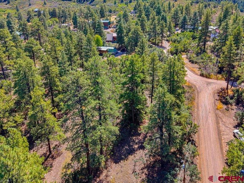 876 Evergreen Drive Pagosa Springs CO 81147