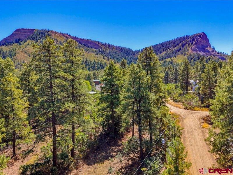 876 Evergreen Drive Pagosa Springs CO 81147