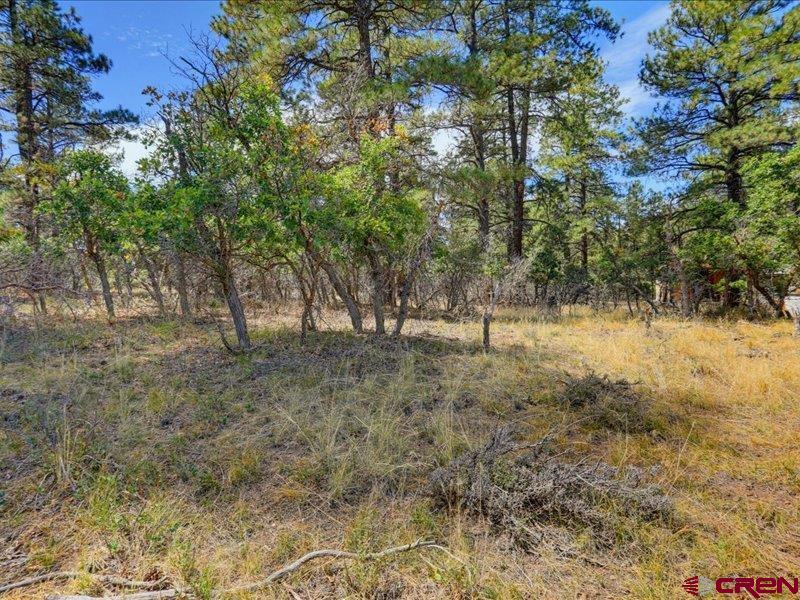 876 Evergreen Drive Pagosa Springs CO 81147