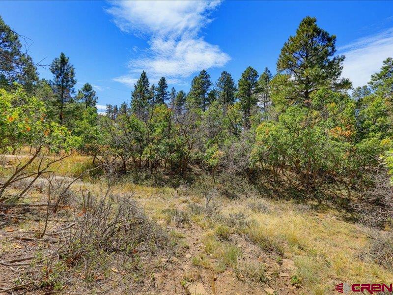 876 Evergreen Drive Pagosa Springs CO 81147
