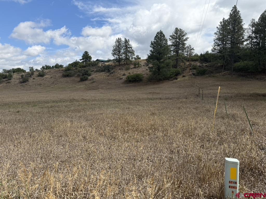 656 Indian Land Road Pagosa Springs CO 81147