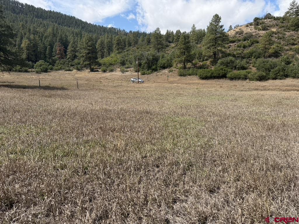 656 Indian Land Road Pagosa Springs CO 81147
