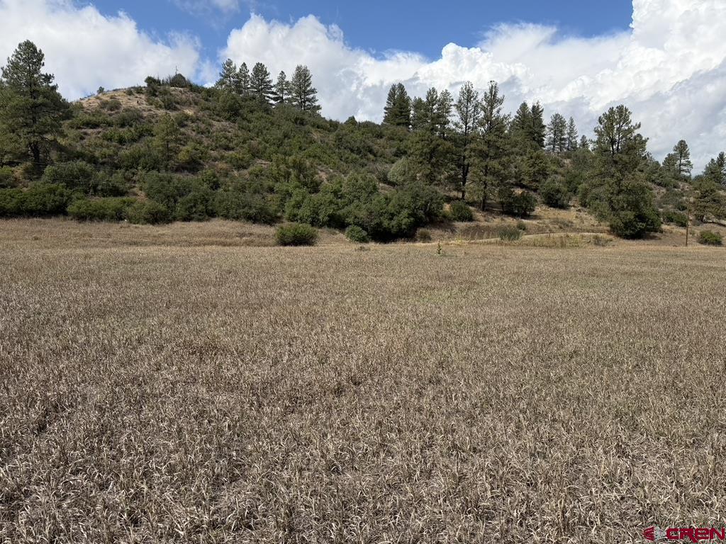 656 Indian Land Road Pagosa Springs CO 81147