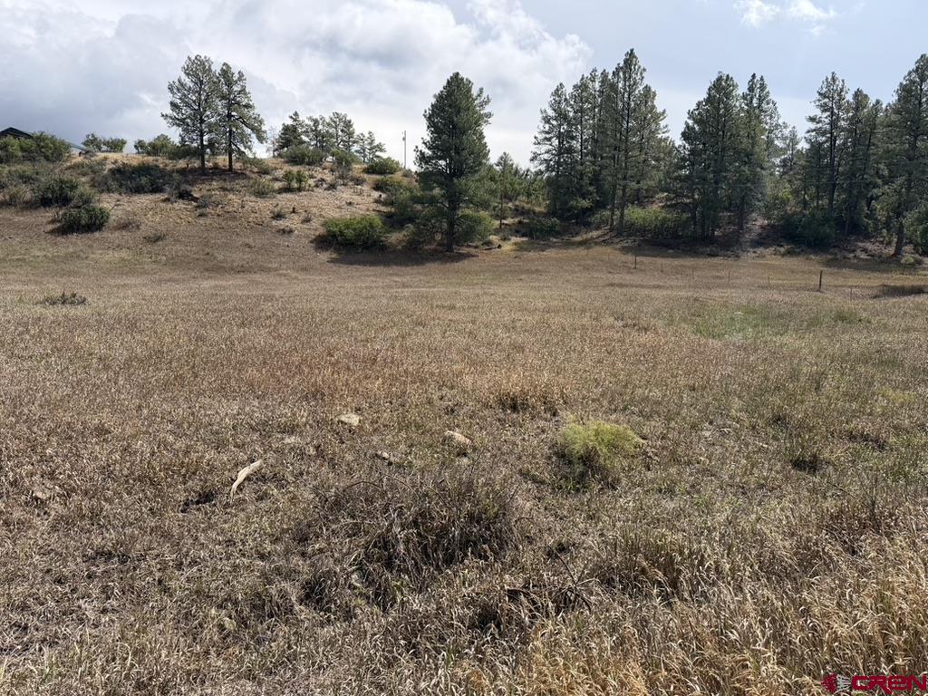 656 Indian Land Road Pagosa Springs CO 81147