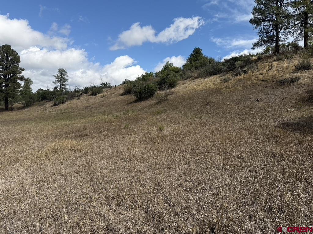 656 Indian Land Road Pagosa Springs CO 81147