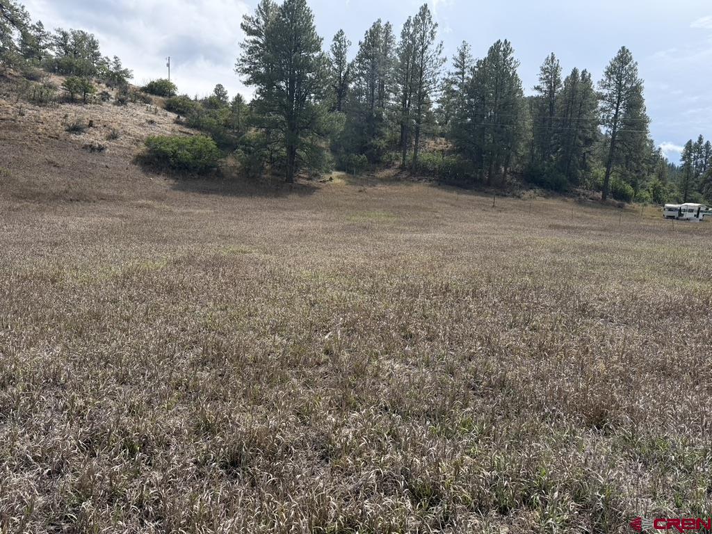 656 Indian Land Road Pagosa Springs CO 81147