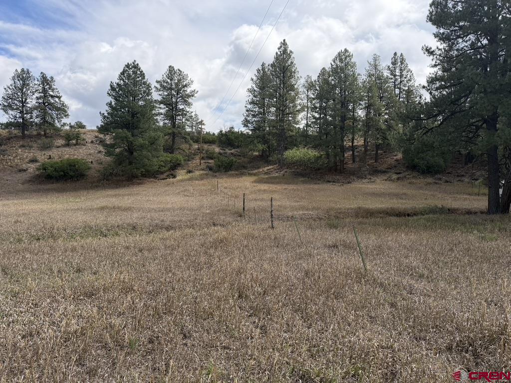 656 Indian Land Road Pagosa Springs CO 81147