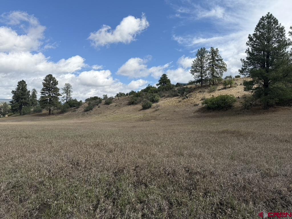 656 Indian Land Road Pagosa Springs CO 81147
