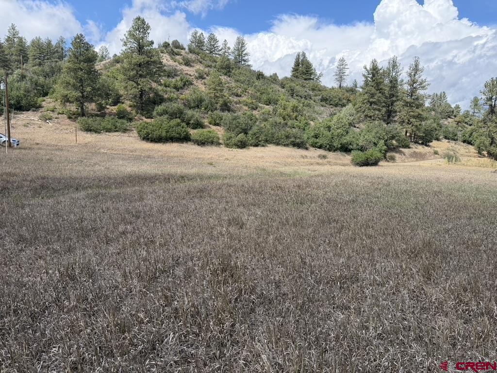 656 Indian Land Road Pagosa Springs CO 81147