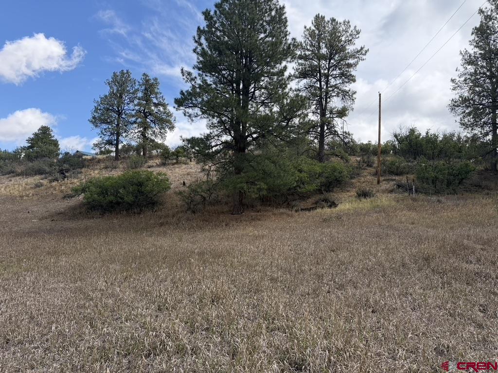 656 Indian Land Road Pagosa Springs CO 81147