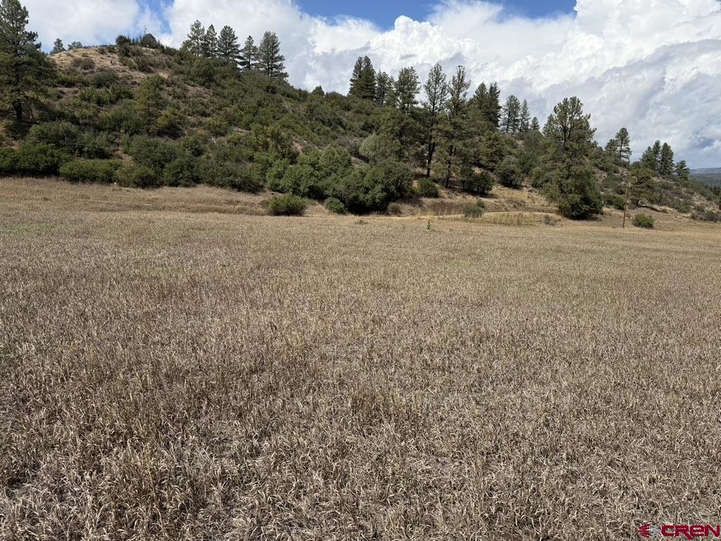 656 Indian Land Road Pagosa Springs CO 81147