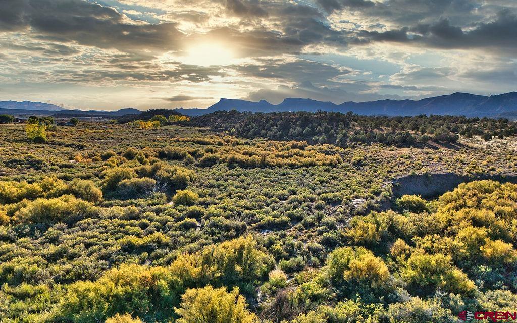 Tbd Highway 160 Cortez CO 81321