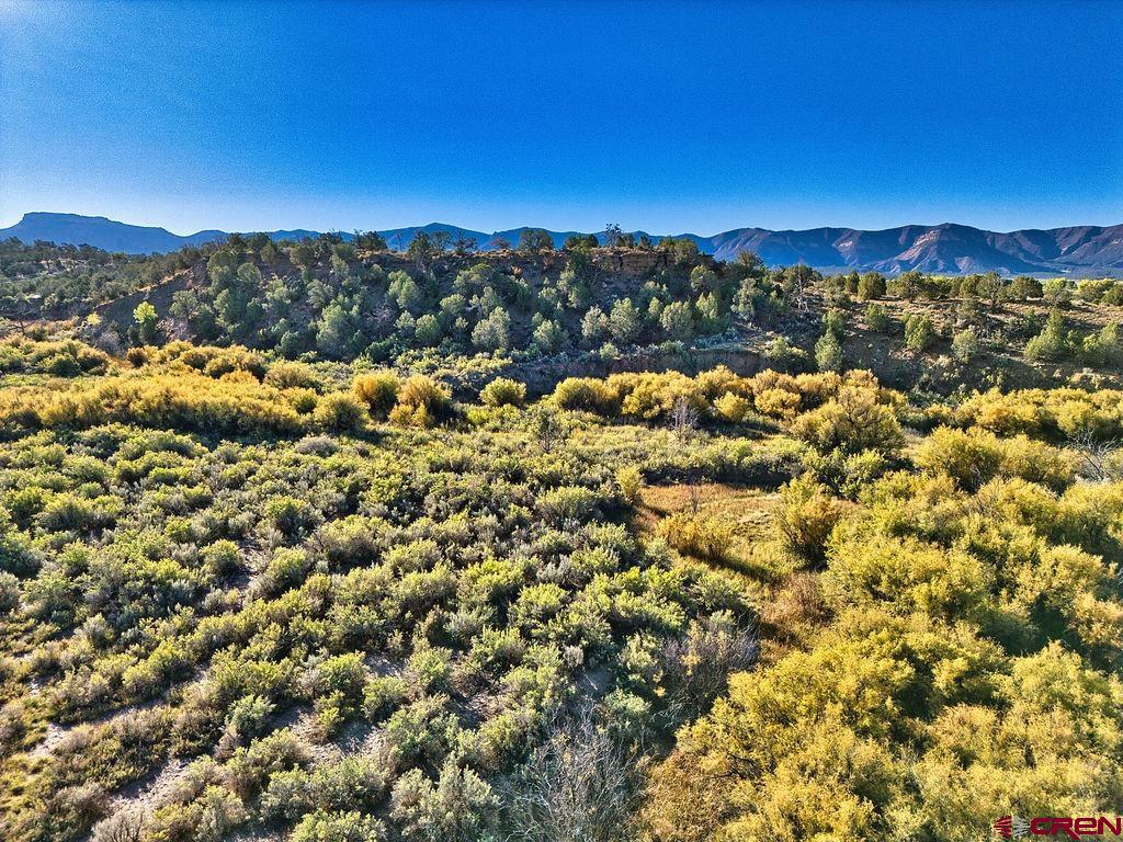 Tbd Highway 160 Cortez CO 81321
