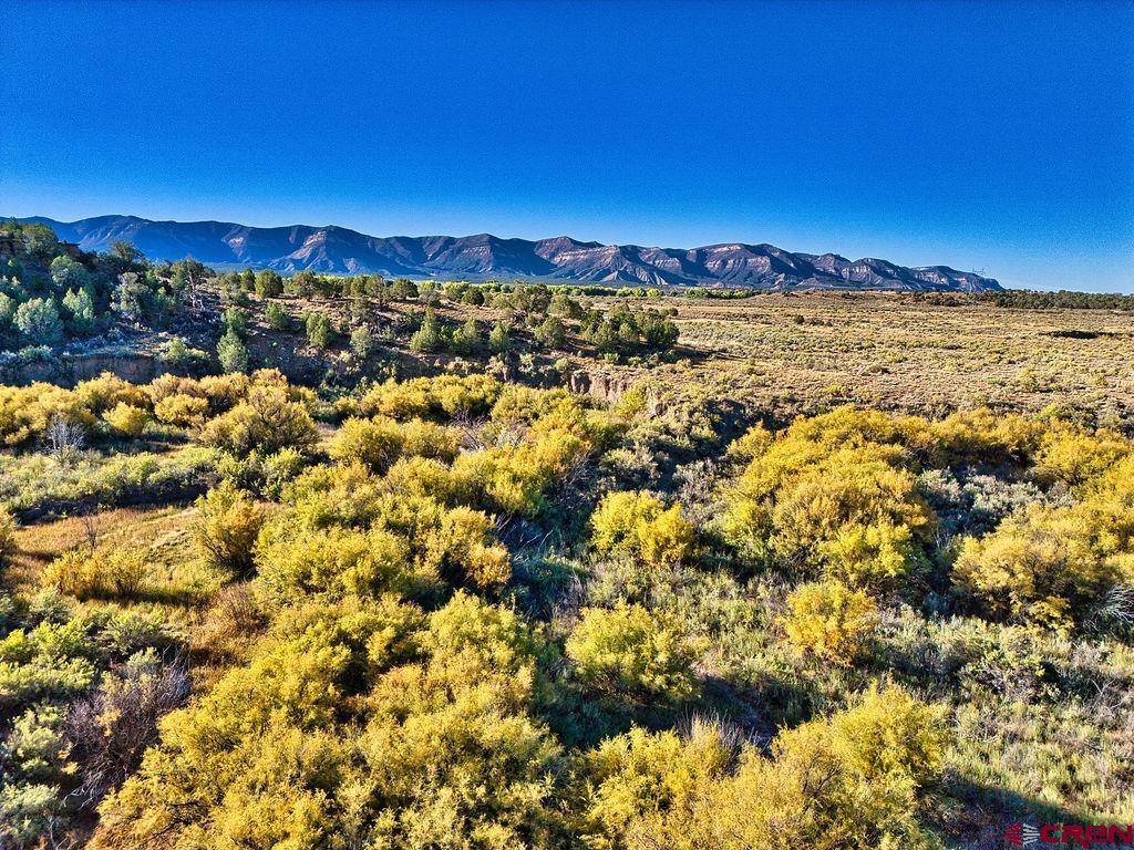 Tbd Highway 160 Cortez CO 81321