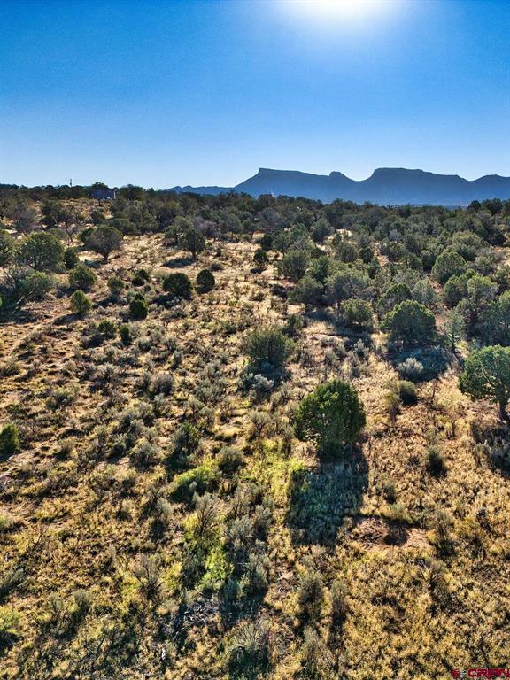 Tbd Highway 160 Cortez CO 81321