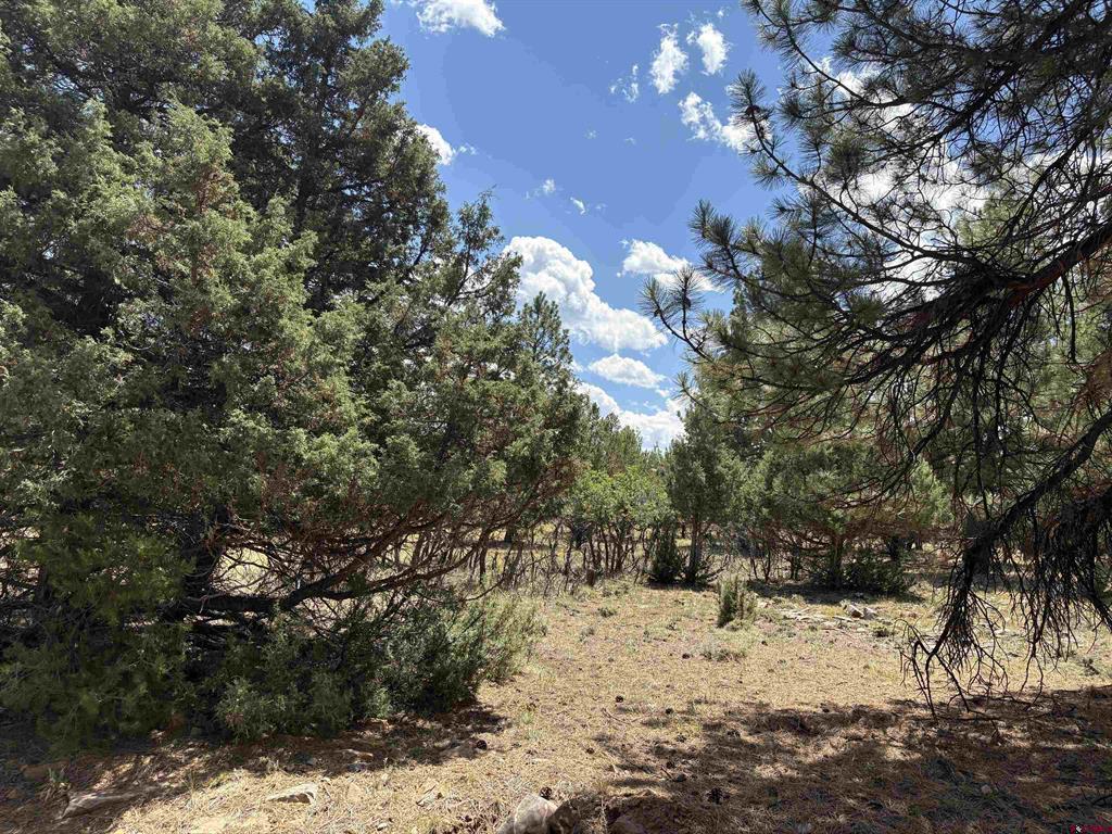 Tbd326 Bear Cub Drive Ridgway CO 81432