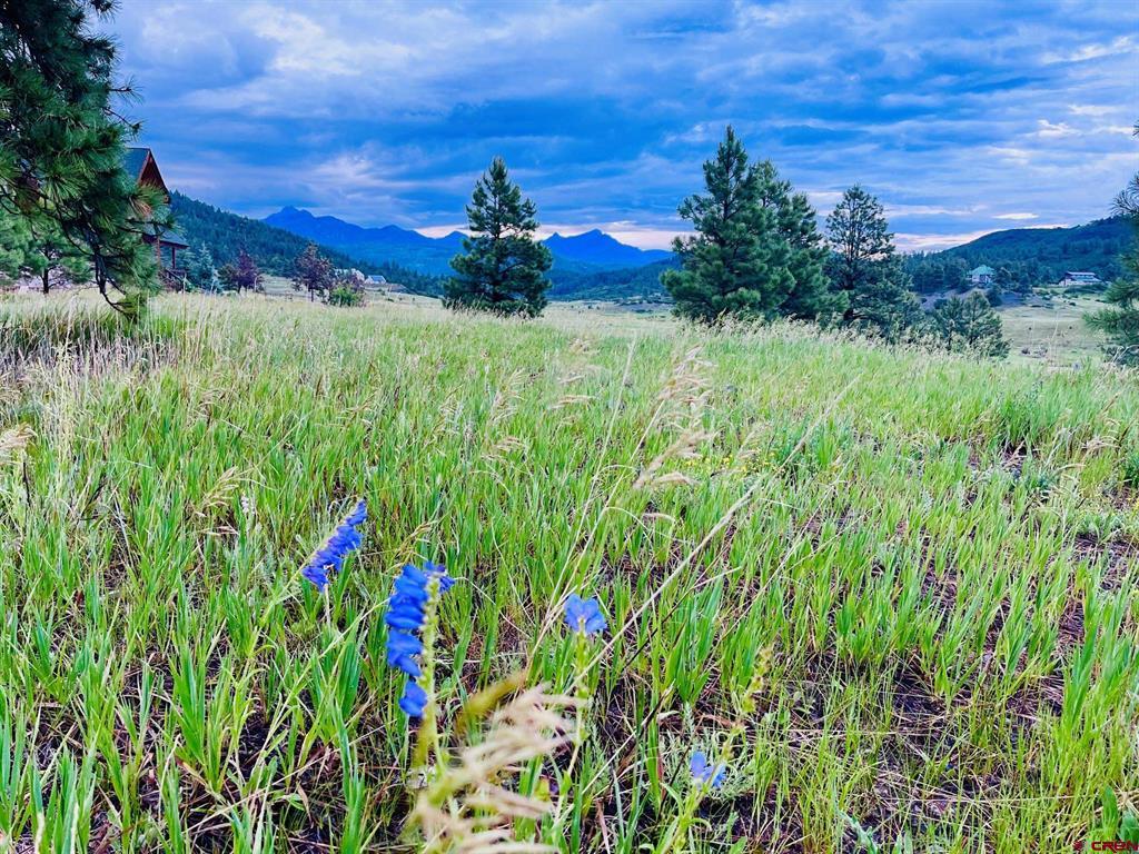 119 La Ventana Place Pagosa Springs CO 81147