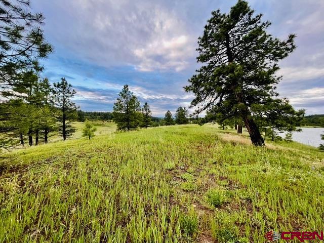 119 La Ventana Place Pagosa Springs CO 81147