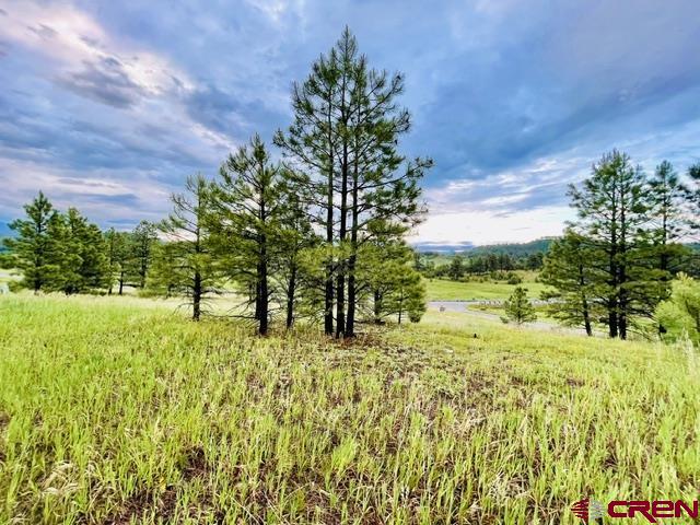 119 La Ventana Place Pagosa Springs CO 81147