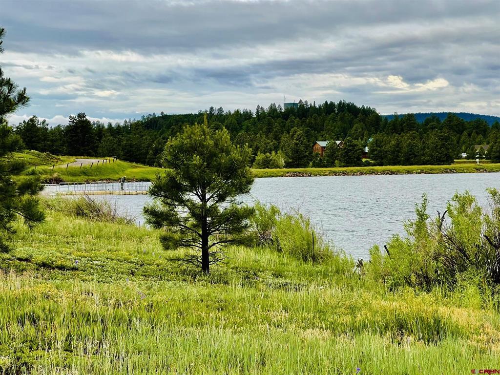 119 La Ventana Place Pagosa Springs CO 81147