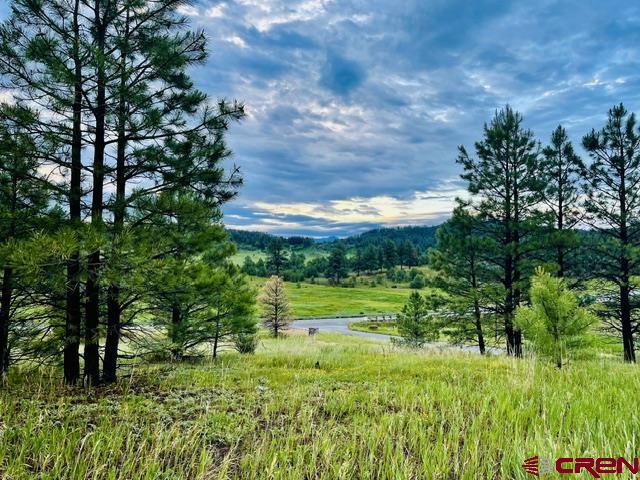 119 La Ventana Place Pagosa Springs CO 81147