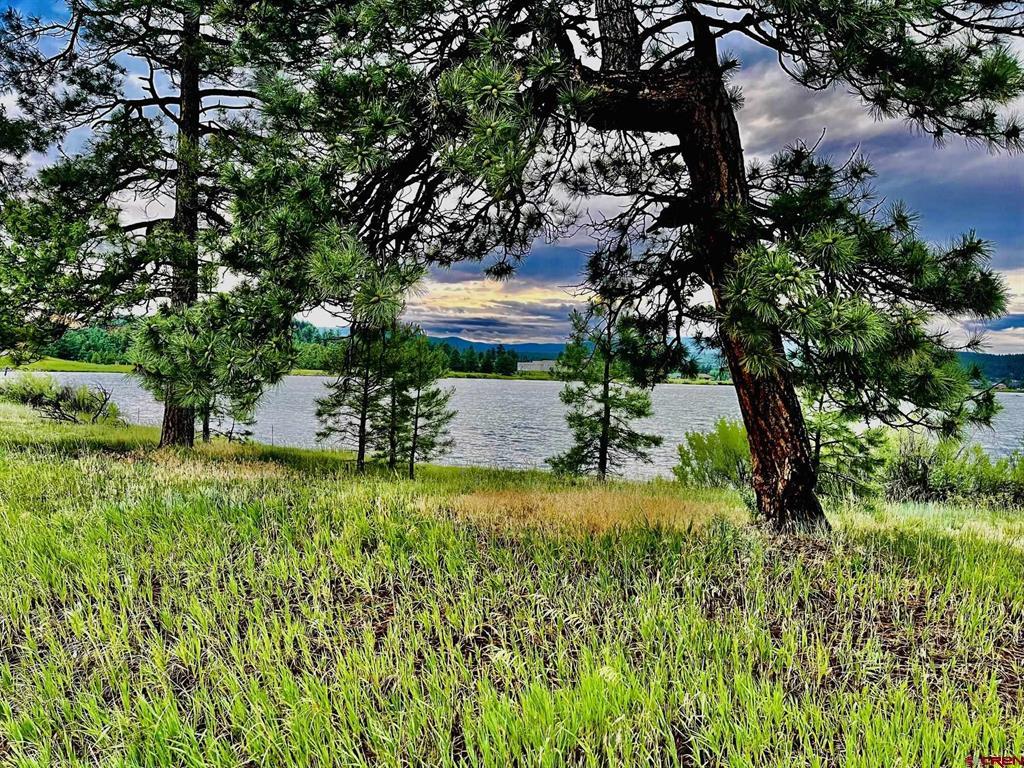 119 La Ventana Place Pagosa Springs CO 81147